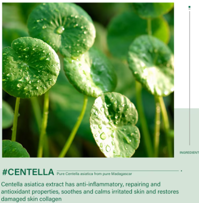 Centella Products Mix Set